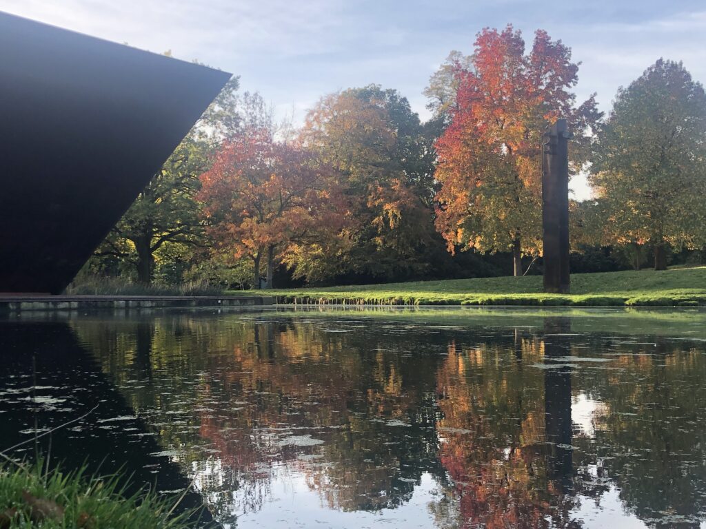 Autumn trees reflecting on water