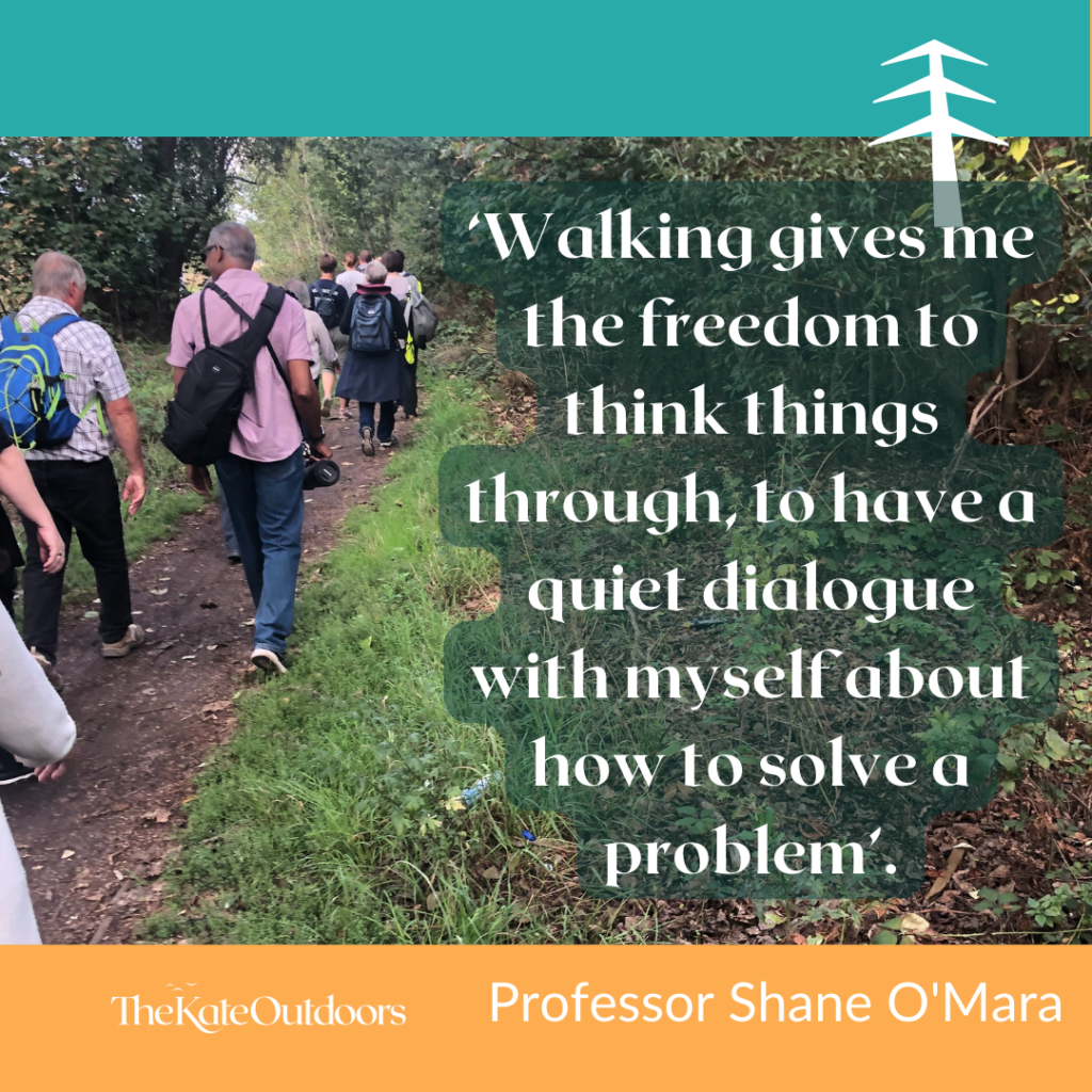 A group of people walking and talking on a narrow lane in nature