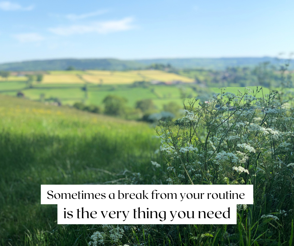 View over green hills in the UK countryside with blue sky