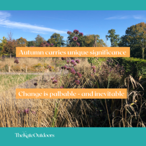 autumn trees and wild flowers on a hot sunny day, with captions