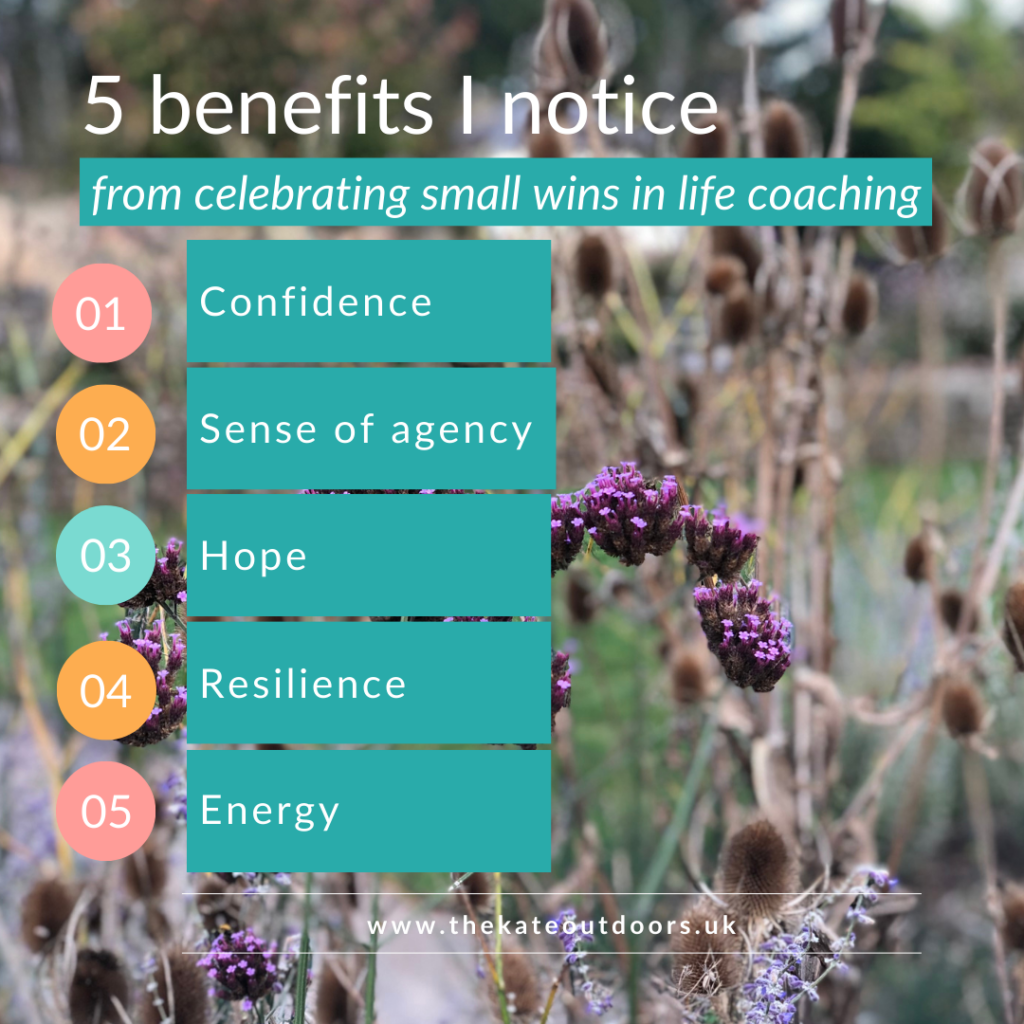 5 benefits of small wins in life coaching