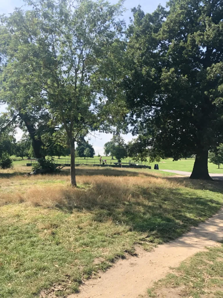 Path, trees and nature in an urban park