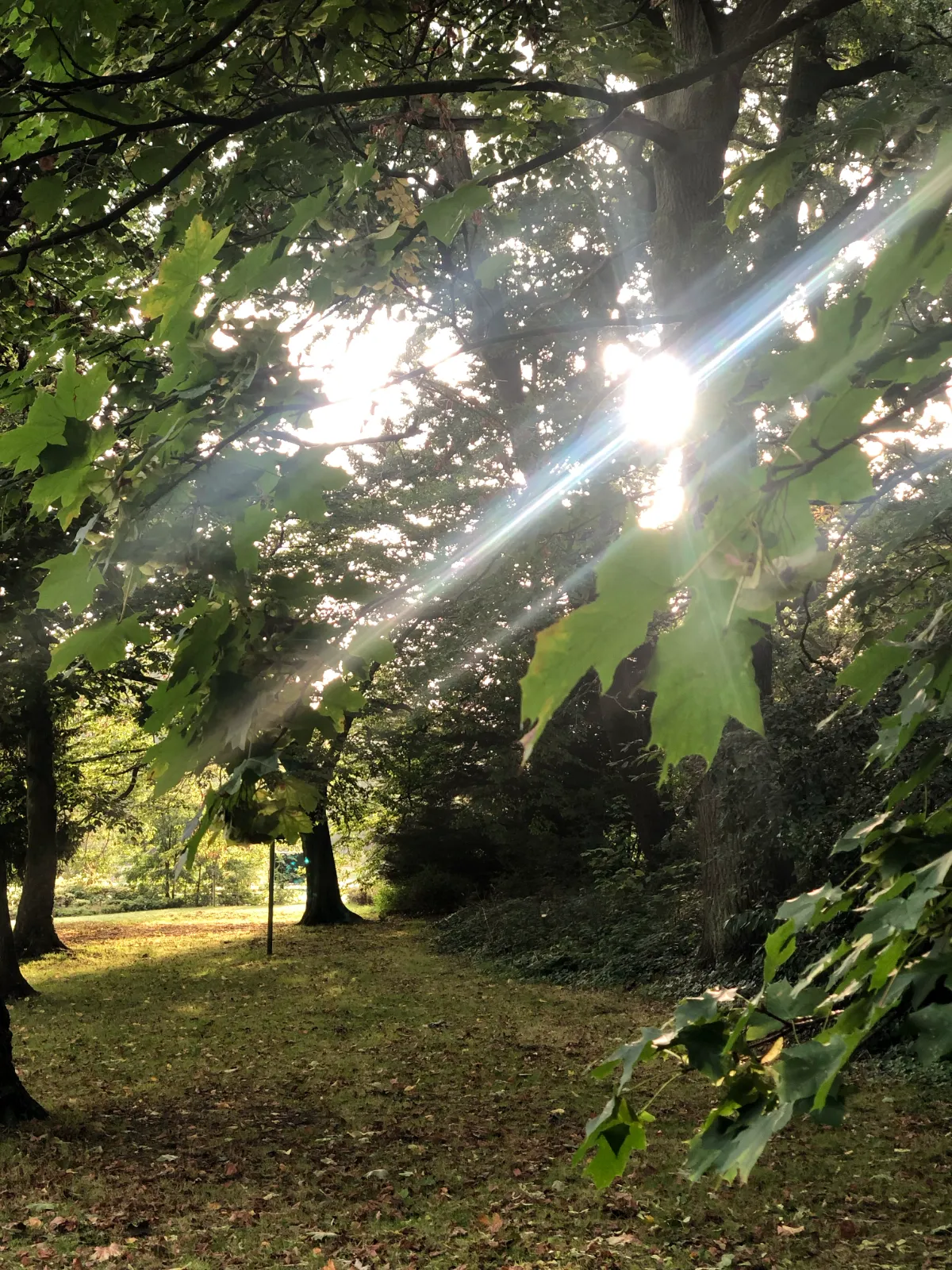 Life coaching session outdoors in nature
