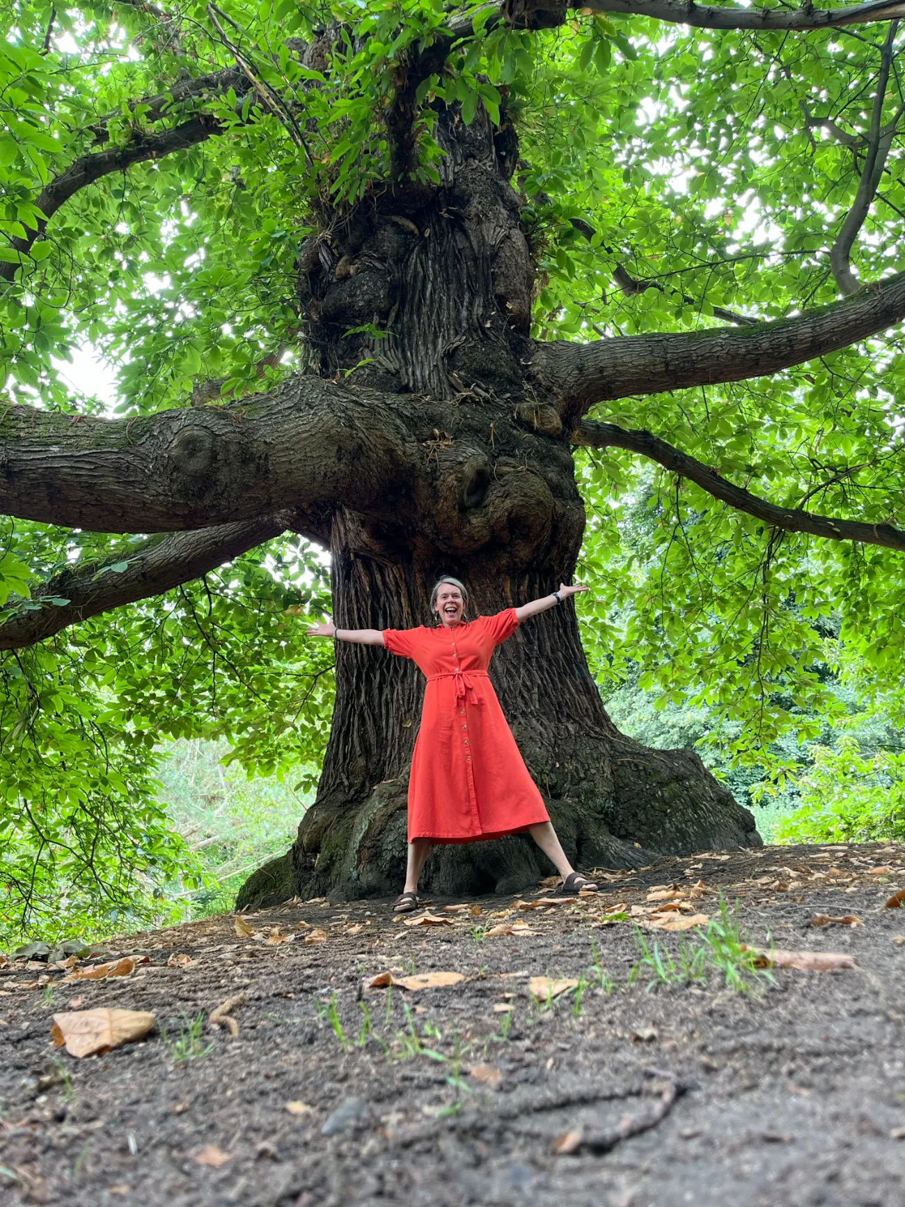 Smiling woman, arms outstretched in front of a huge and wide oak tree