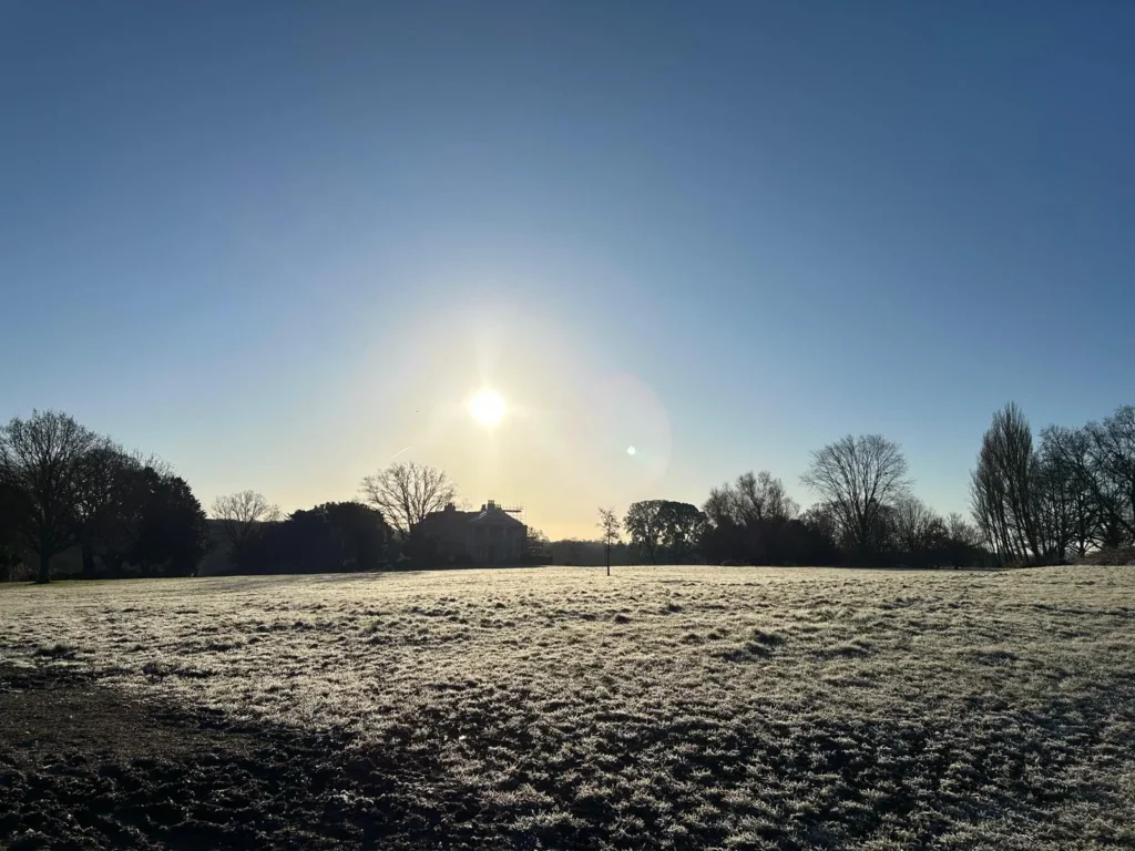 Bright winter's sunshine in a frosty park