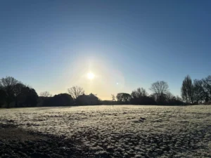 Bright winter's sunshine in a frosty park