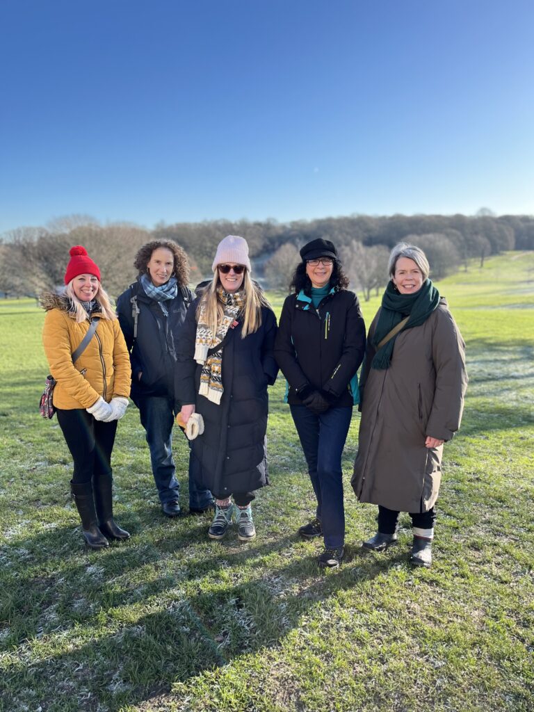 Group of women walkers in winter sunshine